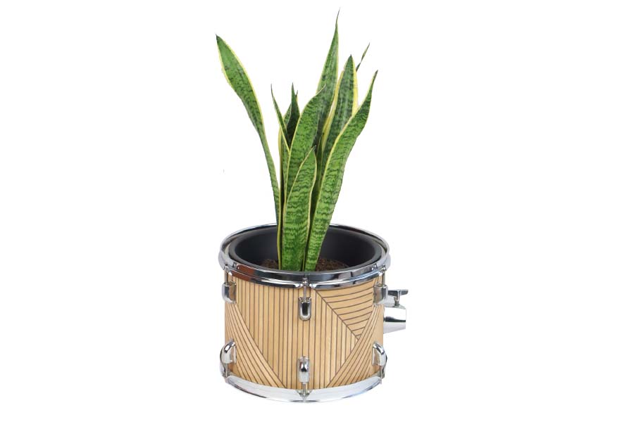 cache pot